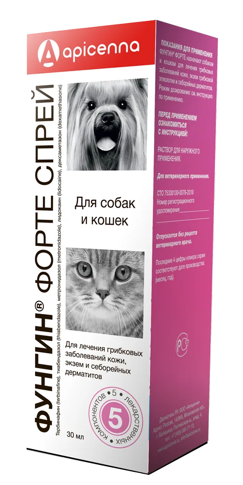 Упаковка Фунгин Форте (спрей), 30 мл